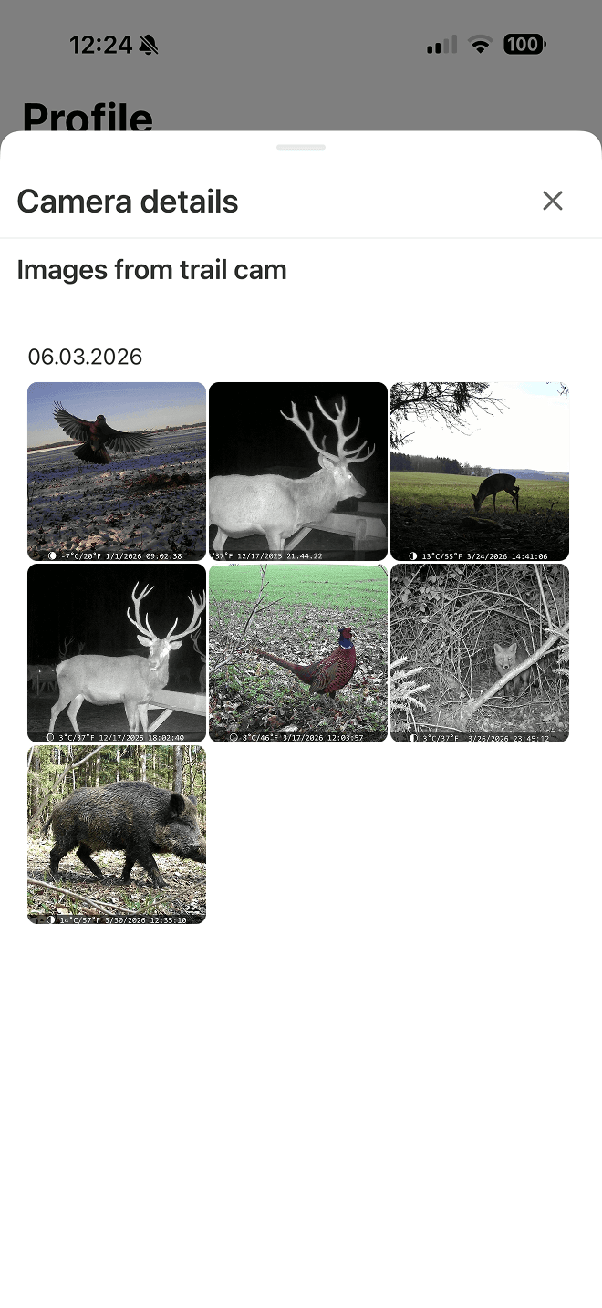 Photos from your trail cameras, instantly