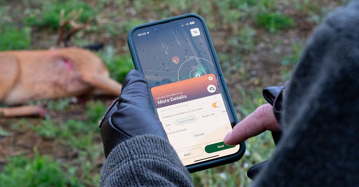 Roe Buck Stalking – Hints and Tips