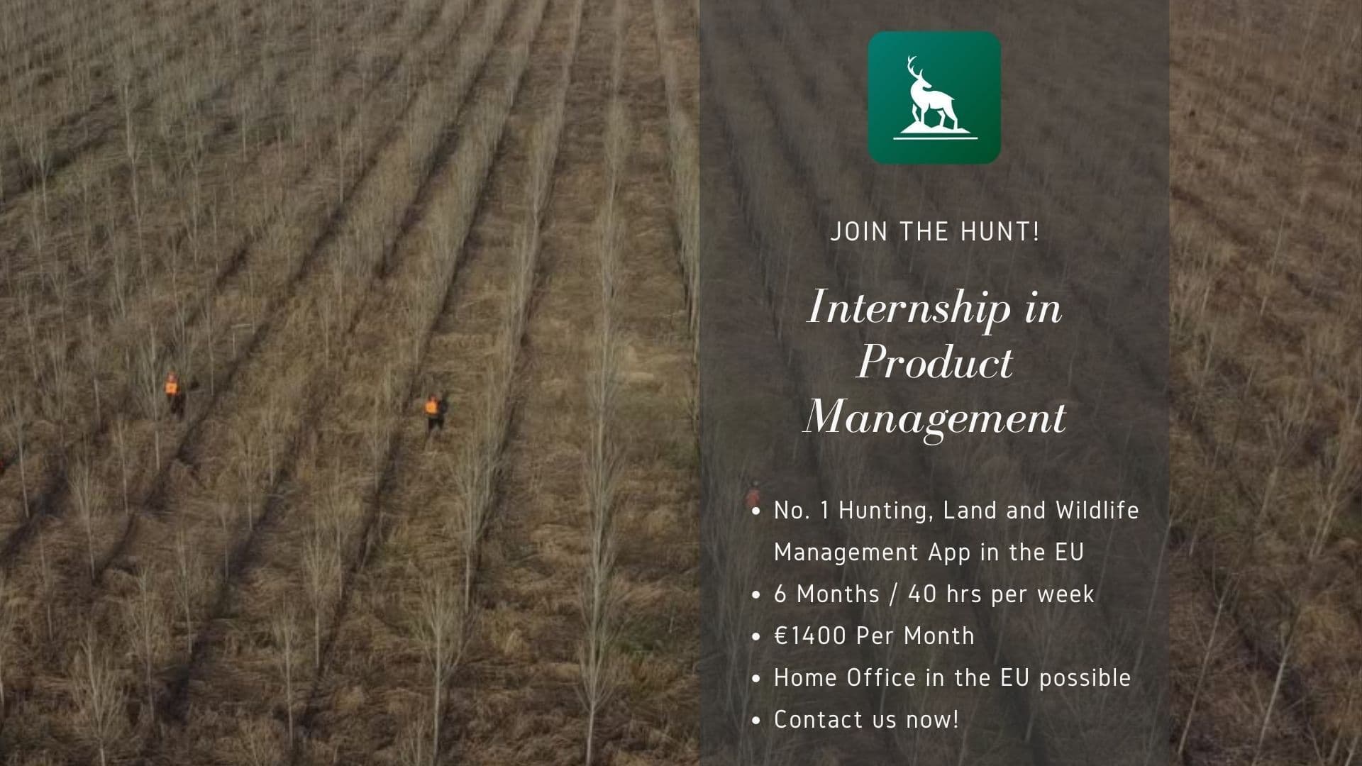 We're Hiring! Apply now to join our team as a Product Manager (Internship)