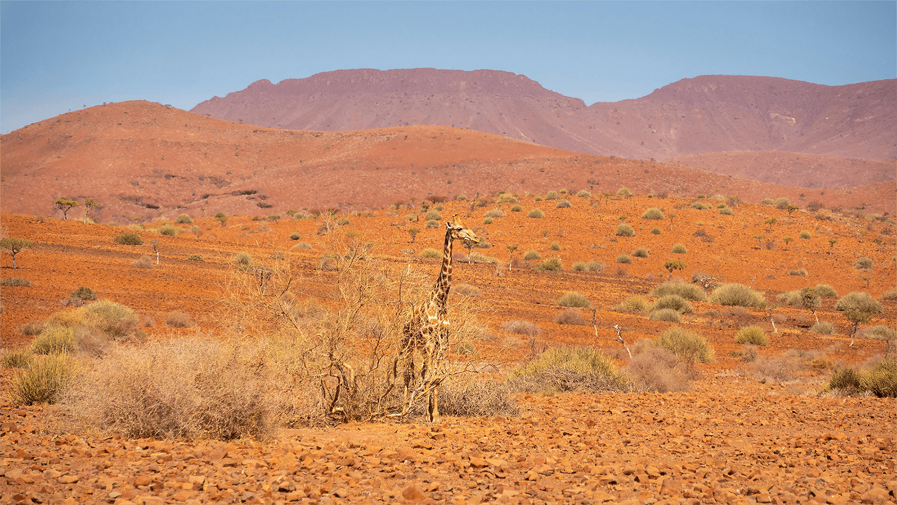 Safari Series Part 2 - Preparing For Your First Safari