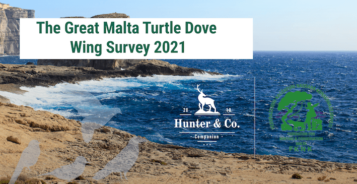 Turtle Dove: The Great Malta Wing Survey 2021, from FKNK and Hunter & Co, launching today