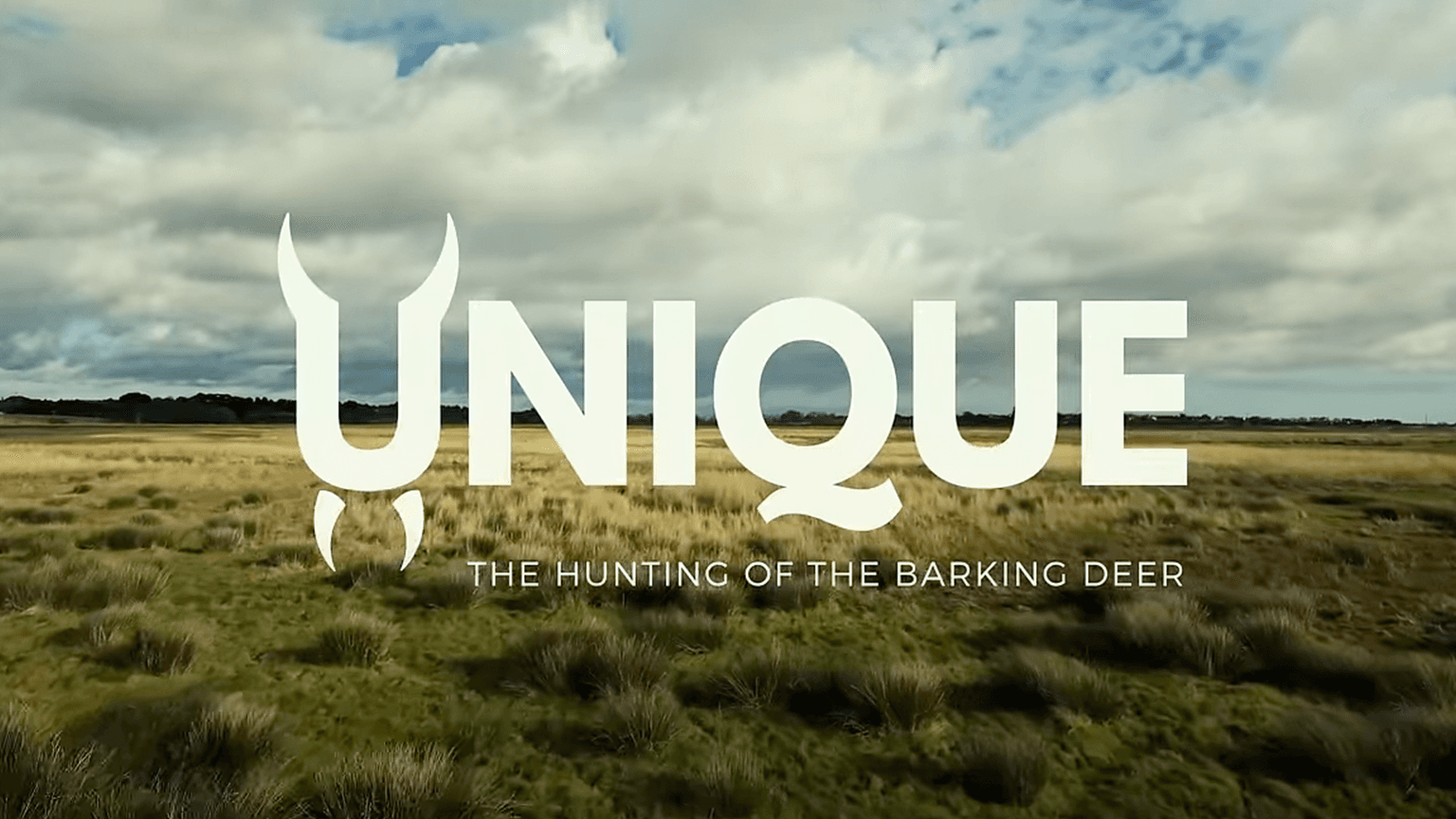 Johanna Clermont Hunts Muntjac & Chinese Water Deer In The UK