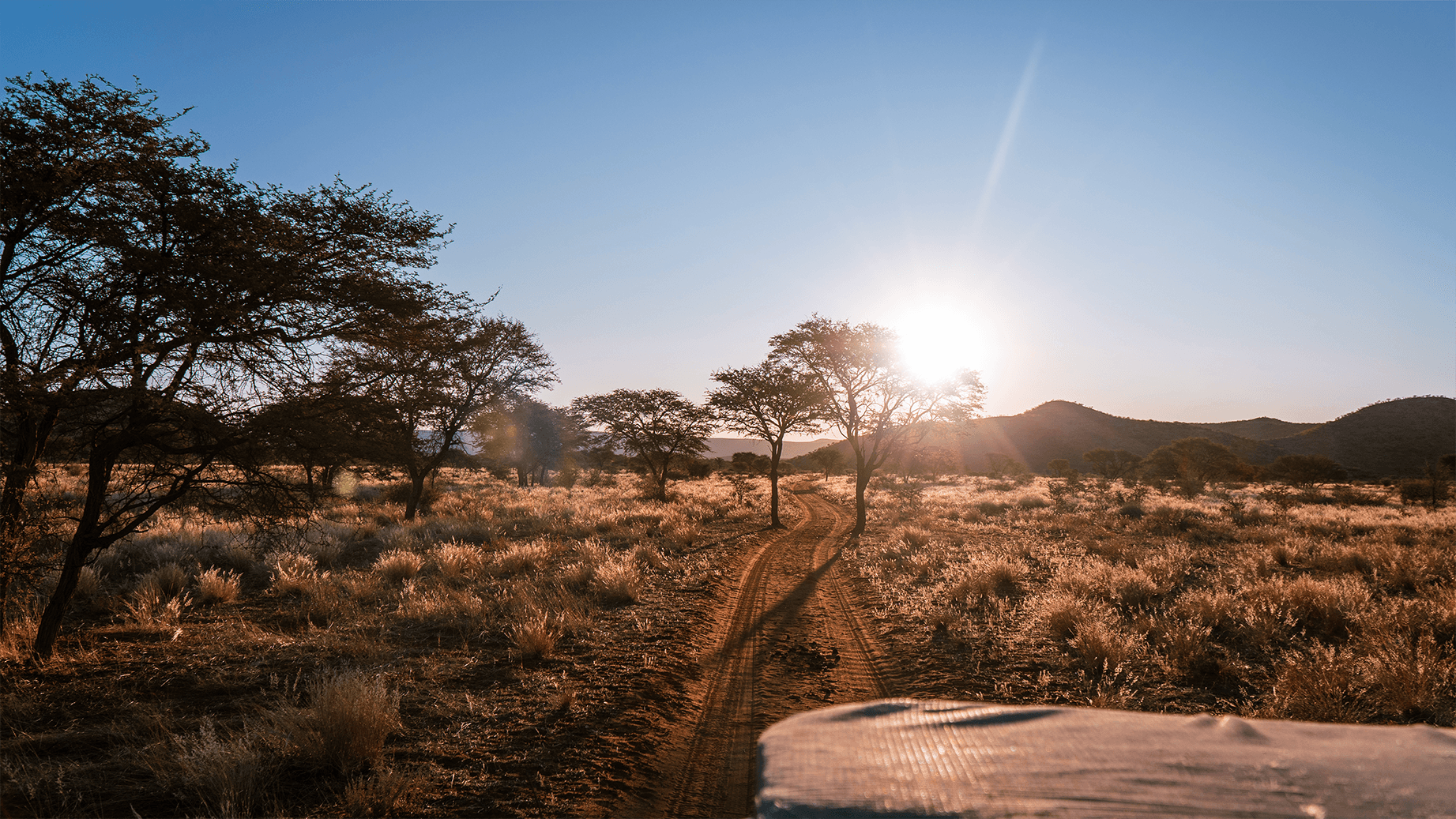 Safari Series Part 3 - My First Days at Bergzicht Game Lodge in Namibia