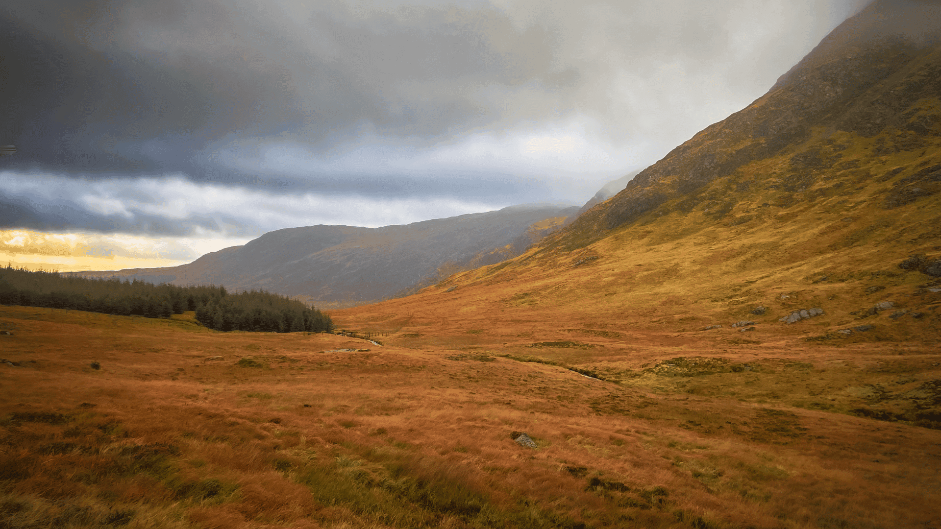 Hunting Red Stags in the (not so) Highlands of Scotland