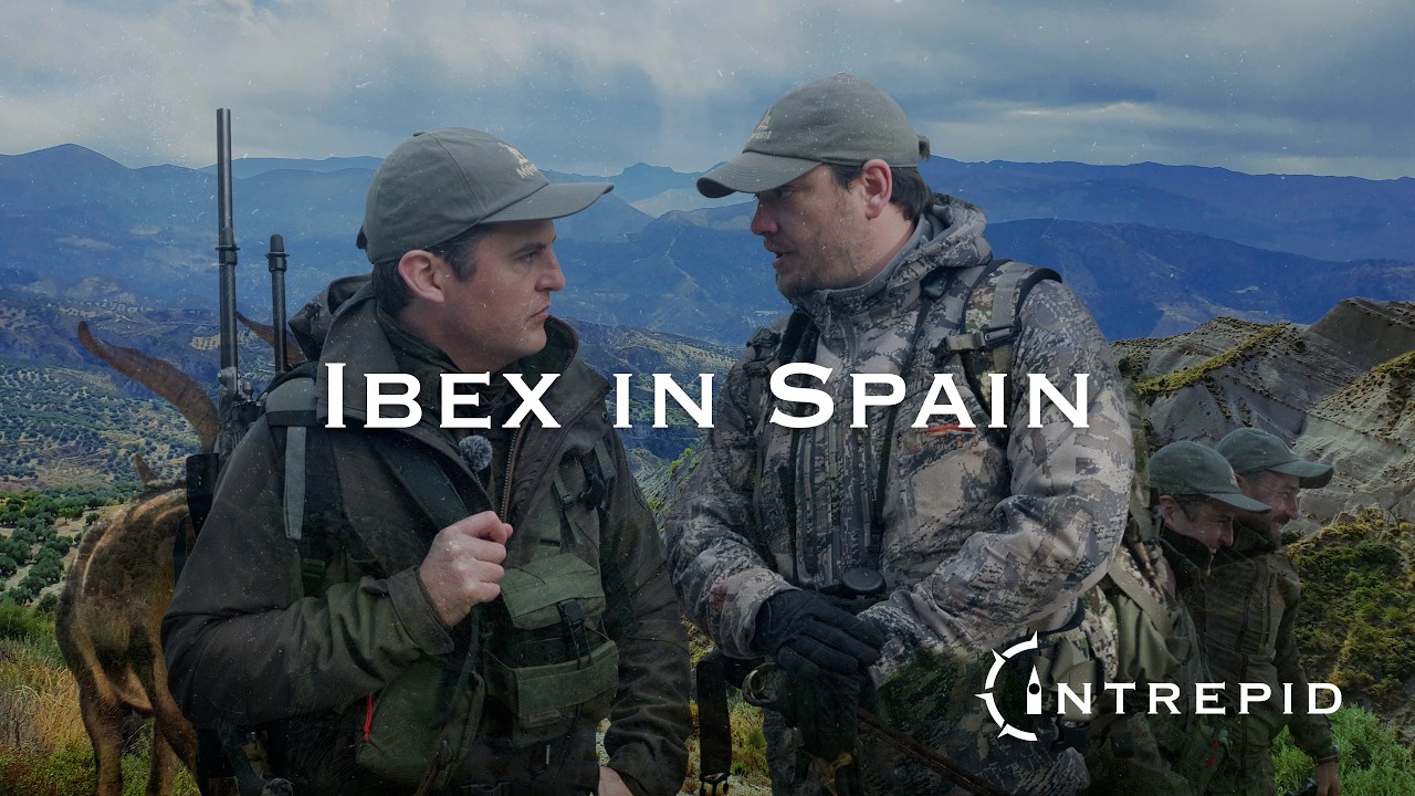 The Intrepid: Cabra montés de Sierra Nevada en España