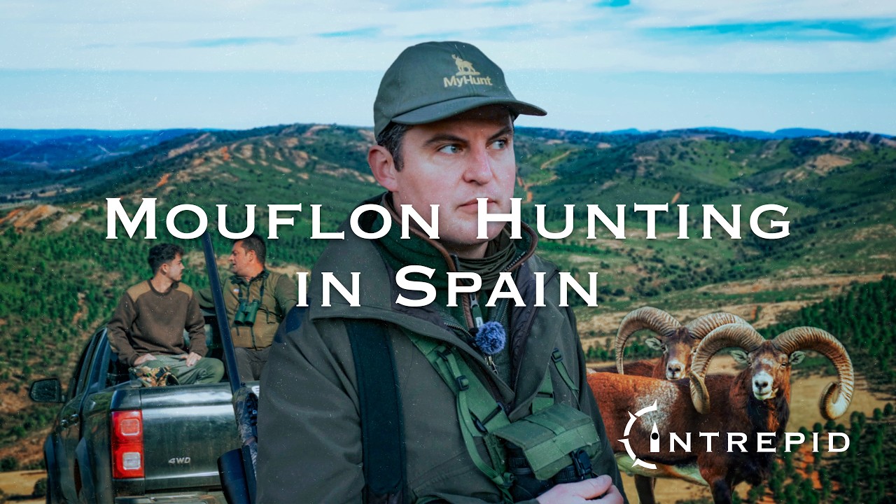 The Intrepid: Caza del muflón en España